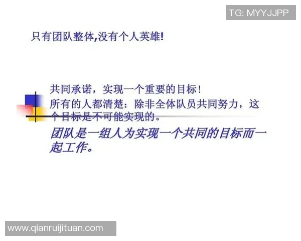 上海排球队的团队协作之道：凝聚力与默契的完美结合